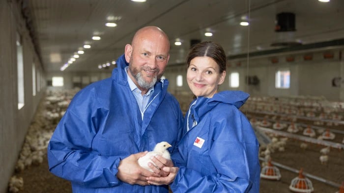Kjell Stobakken og Live Kleveland holder en kylling inne i rugeriet.